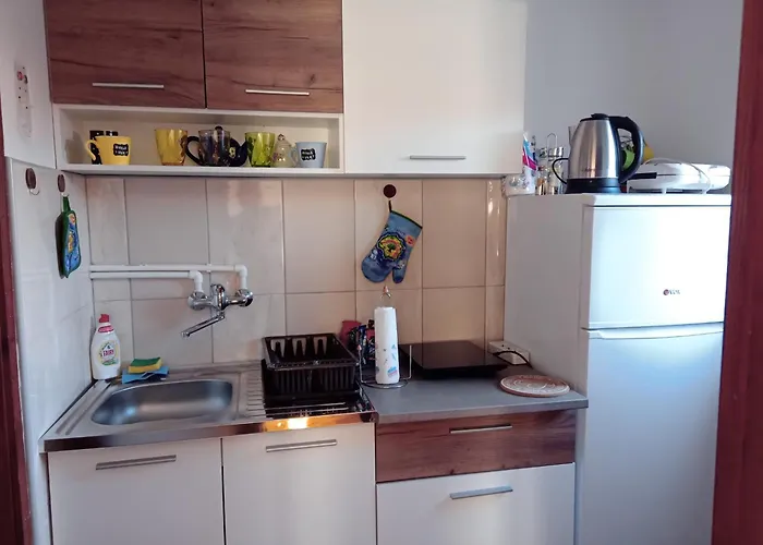 Nedeljkovic 아파트